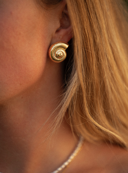 Chunky Shell Earrings